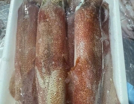 MỰC TRỨNG MINO VỈ 500G ĐỦ KG 